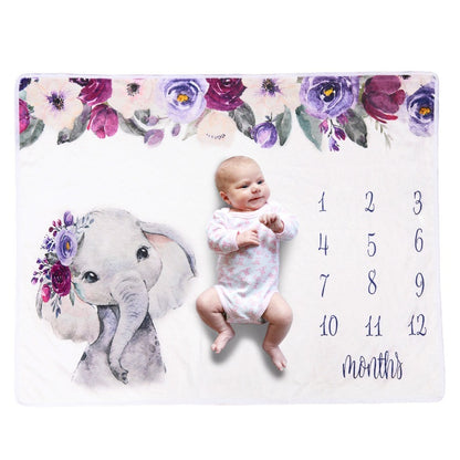 Baby milestone blanket